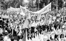 BÀI TUÊN TRUYỀN Nhân kỷ niệm 49 năm Ngày giải phóng Miền Nam, thống nhất đất nước (30/4/1975 - 30/4/2024)